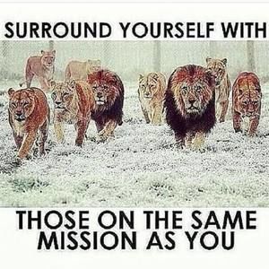 Meet your Posher, Anne